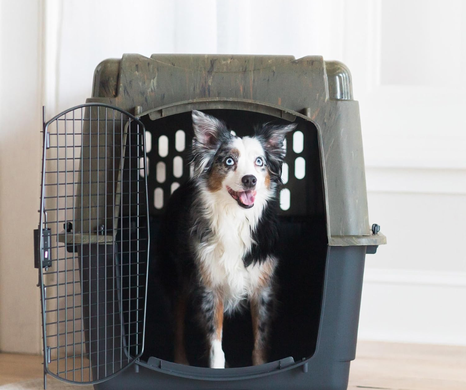 6. Petmate Ruffmaxx Camouflage Dog Kennel